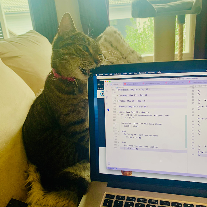 A brown tabby cat chewing on the side of a MacBook monitor